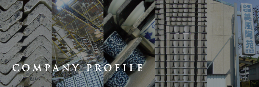 Company Profile
